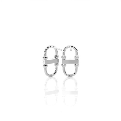 Platinum Diamond Earrings