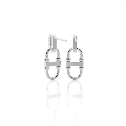 Platinum Diamond Earrings