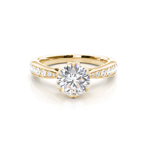 Prong Setting Studded Engagement Ring
