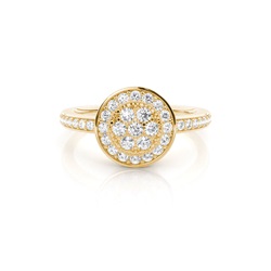 Runder Diamant Cluster Ring in einer Pavefassung