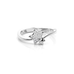 Runder Diamant Cluster Ring in einer Krappenfassung