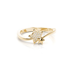 Runder Diamant Cluster Ring in einer Krappenfassung