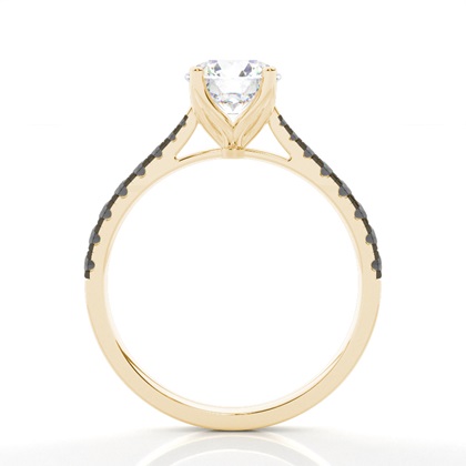 Prong Set Side Stone Engagement Black Diamond Ring