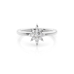 Zinkeneinstellung runder Diamantclusterring