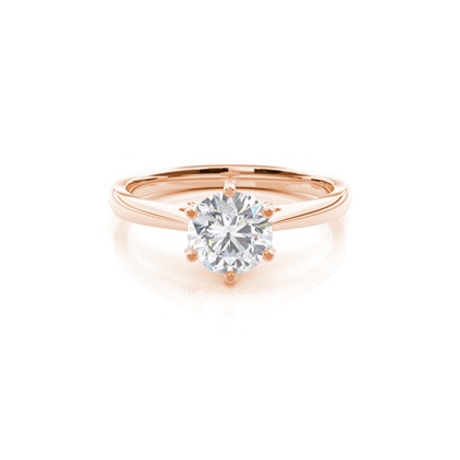 6 Prong Setting Round Moissanite Side Stone Engagement Ring