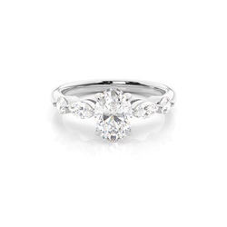 Chaton- Zetting Diamanten Verlovingsring