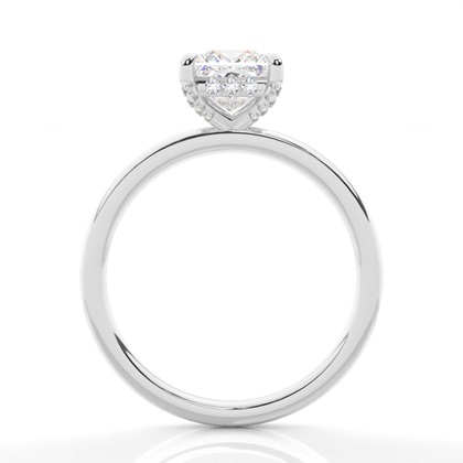 3.00 Carat Platin Halo Verlobungsringe