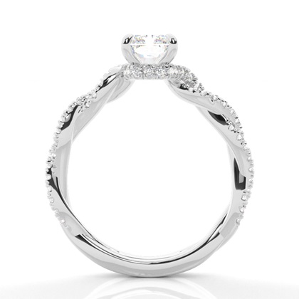 3.00 Carat Platin Halo Verlobungsringe
