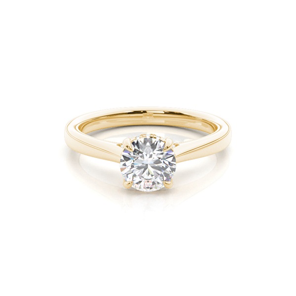 Hidden Halo Diamond Engagement Rings