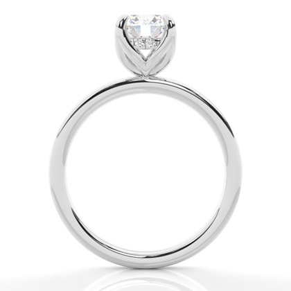 Brilliant Platin Halo Verlobungsringe