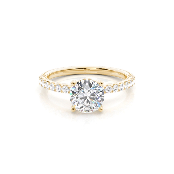 Diamant Verlobungsring und verstecktem Halo