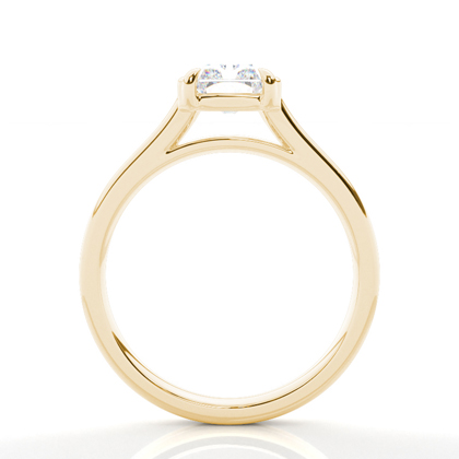 Halbe Zargenfassung Solitär Verlobungsring Duale Ringschiene